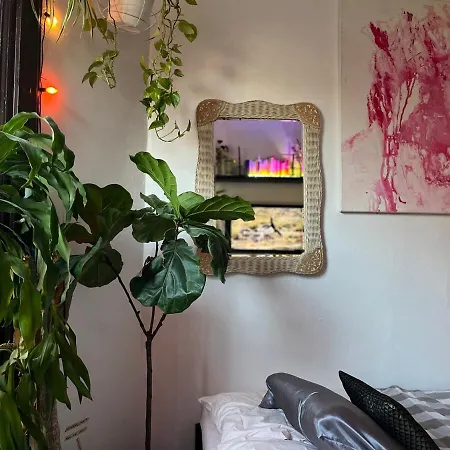 Apartment Unique Brooklyn Brownstone Bedstuy New York