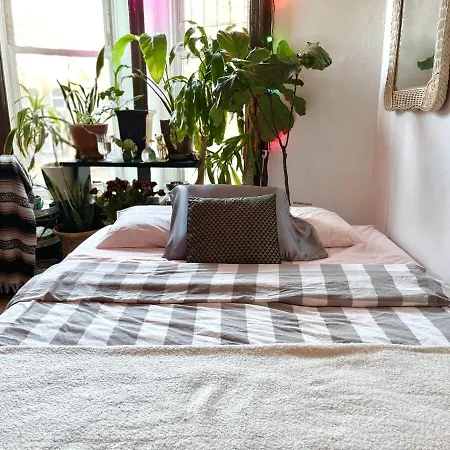 Apartment Unique Brooklyn Brownstone Bedstuy New York