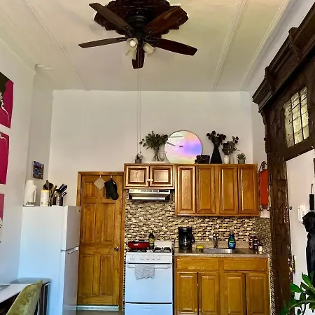 Unique Brooklyn Brownstone Bedstuy