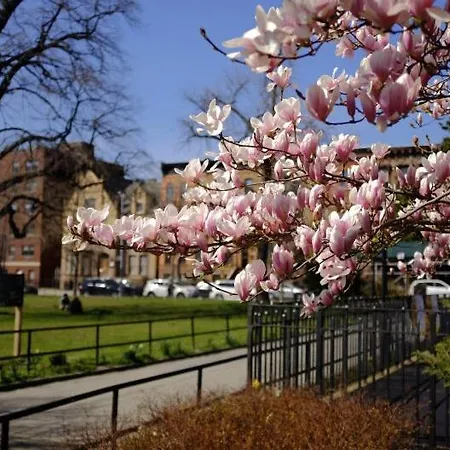 Relax And Unwind At Chic Bed-stuy Brownstone New York