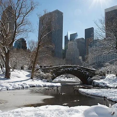 Magnificent Central Park South One Bedroom Apartment