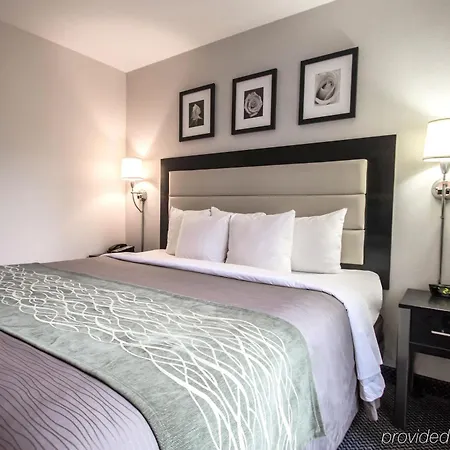 Hotel Comfort Times Square South Area
