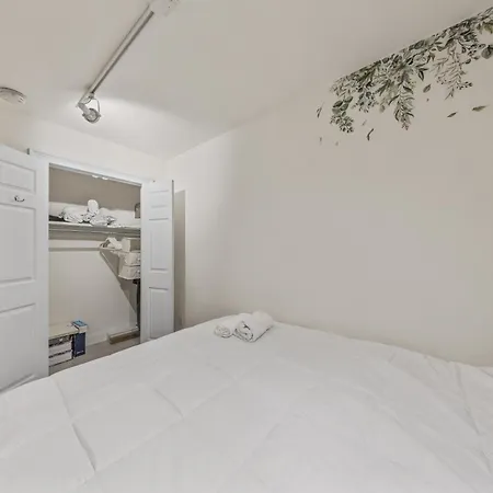 Duplex Experience * New York