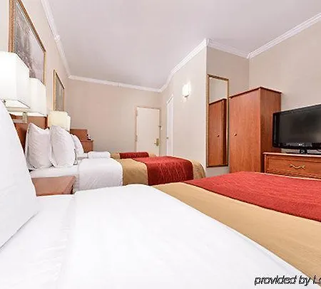 Comfort Chelsea 2* New York