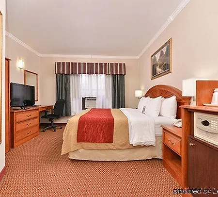 Comfort Chelsea