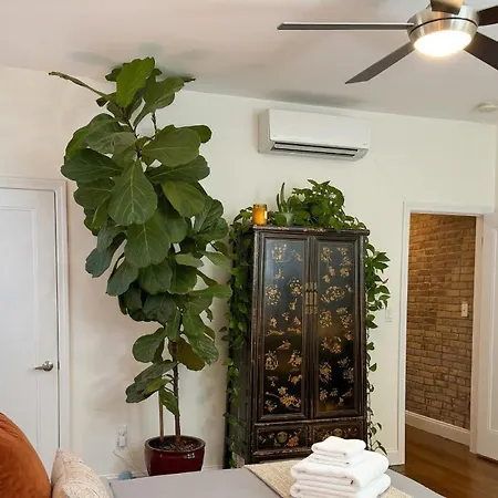 Apartment Sunlit Luxury 2br Harlem Brownstone Retreat - Near Express Trains New York