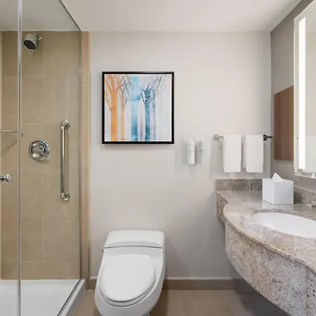 Hilton Garden West 35th Street 3* New York