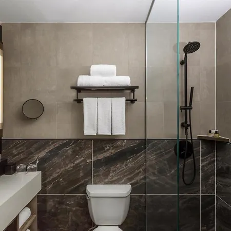 Hotel Thompson Park New York, By Hyatt 5*