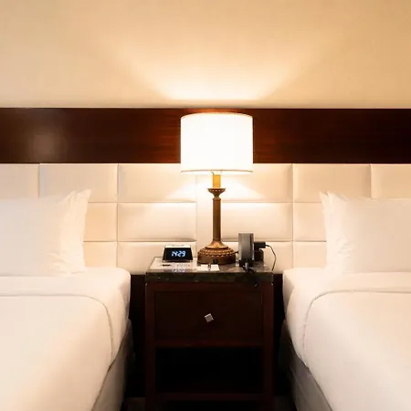 Stanford Hotel 3*