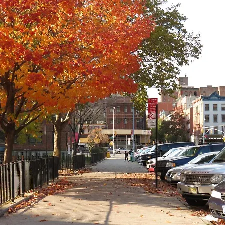 2br Near Mount Sinai & Metropolitan Hospitals * New York