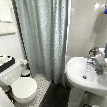2br Near Mount Sinai & Metropolitan Hospitals Apartment New York