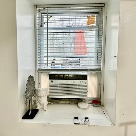 Apartment Completely Private 2 Bedroom With Backyard In Lic !!! New York