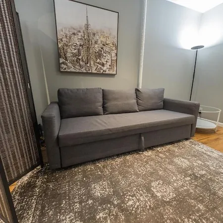 2br Near Mount Sinai & Metropolitan Hospitals Apartment New York
