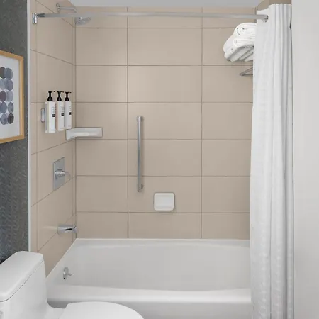 Hilton Garden Manhattan Midtown East Hotel 3*