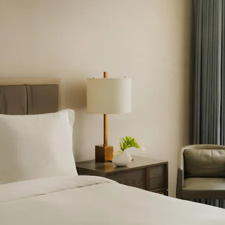 Hotel Four Seasons Downtown