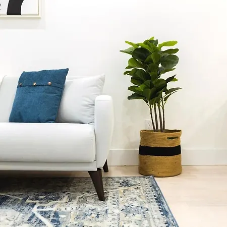 Apartment 317-3d I New Modern 1br W&d Walk To Park *