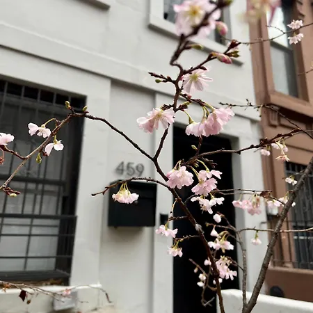 Close To All! 2-room In A 1-family Townhouse