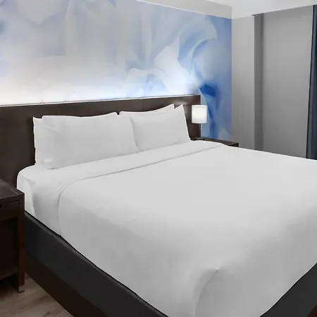 Four Points By Sheraton Downtown 3* New York