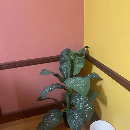 Private Unit With Own Entrance To Share