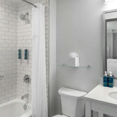 Hotel Four Points By Sheraton Downtown 3*