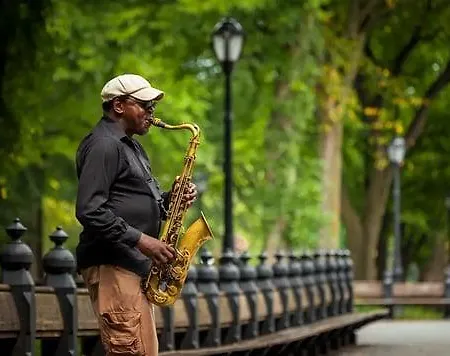 The Wallace New York