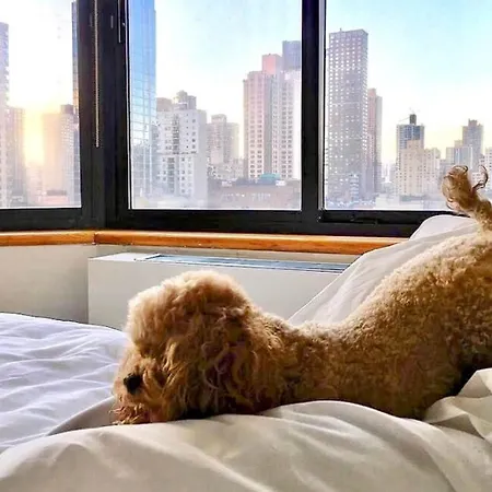 Hotel The Marmara Park Avenue New York