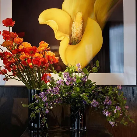Hotel 11 Howard, New York, A Member Of Design 5*