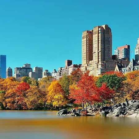 Kimpton Theta - Times Square By Ihg Hotel 5*