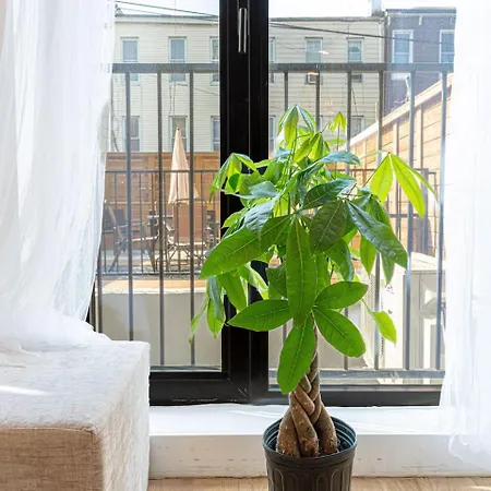 Spacious&renovated Duplex Brooklynbackyard&wd *