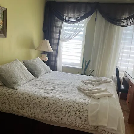 Comfort In Brooklyn