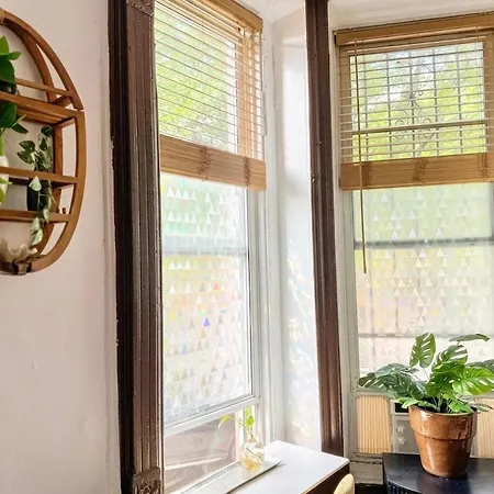 Unique Brooklyn Brownstone Bedstuy Apartment New York
