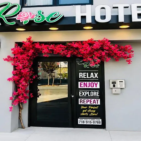 Rose Near Yankee Stadium *