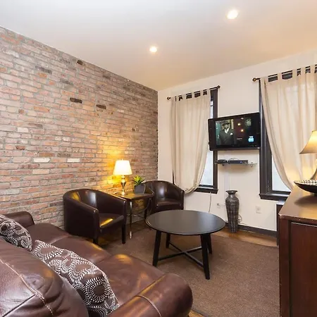 The Ideal V Vibe 8564 New York