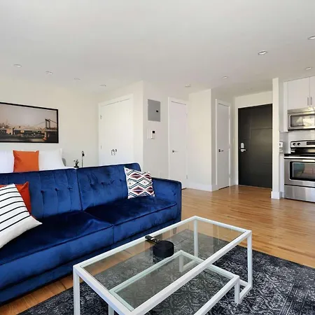 The Kips V Vibe 8651 Apartment New York
