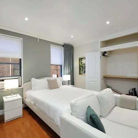 The Lexy Ii Vibe 8611 New York