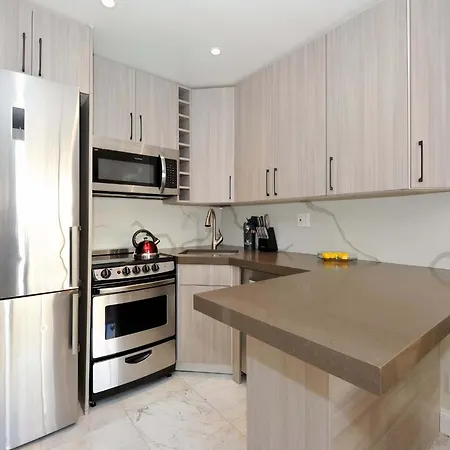 The Kips Vi Vibe 8652 Apartment New York