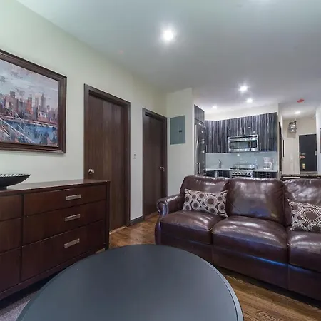 The Ideal V Vibe 8564 New York