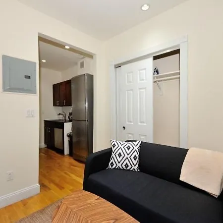 The Lisa Ii Vibe 8729 Apartment New York