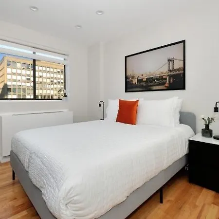 The Kips V Vibe 8651 Apartment New York