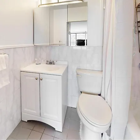 The Kips Ii Vibe 8643 Apartment New York