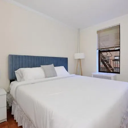 The Lexy Vii Vibe 8638 New York