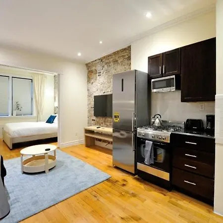 The Lisa Iv Vibe 8736 Apartment New York