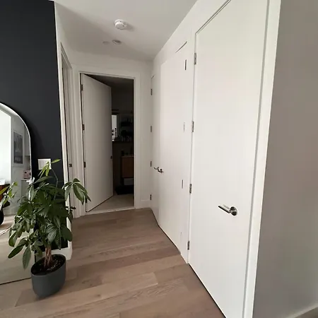 1br Flatbush Gym, Sauna, Rooftop Monthly New York
