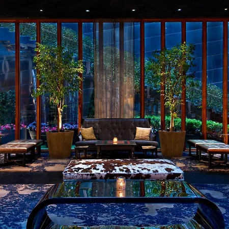 Dream Downtown, By Hyatt 4*
