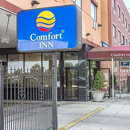 Comfort Brooklyn New York