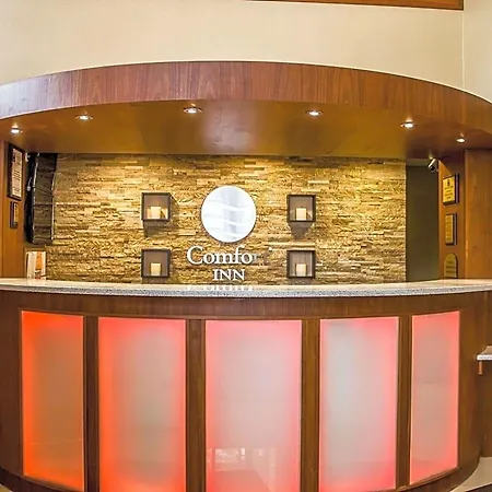 Comfort Brooklyn Hotel New York