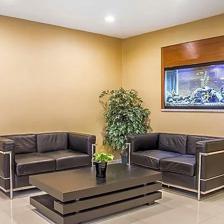 Hotel Comfort Brooklyn 2*