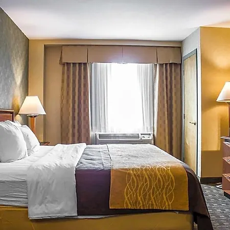 Hotel Comfort Brooklyn