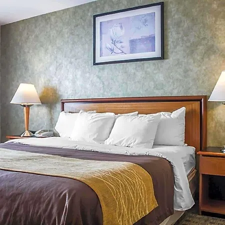 Hotel Comfort Brooklyn