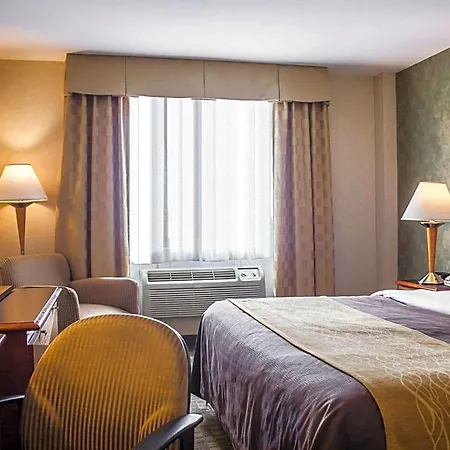 Comfort Brooklyn 2* New York